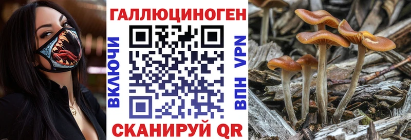 Псилоцибиновые грибы MAGIC MUSHROOMS  Яровое 